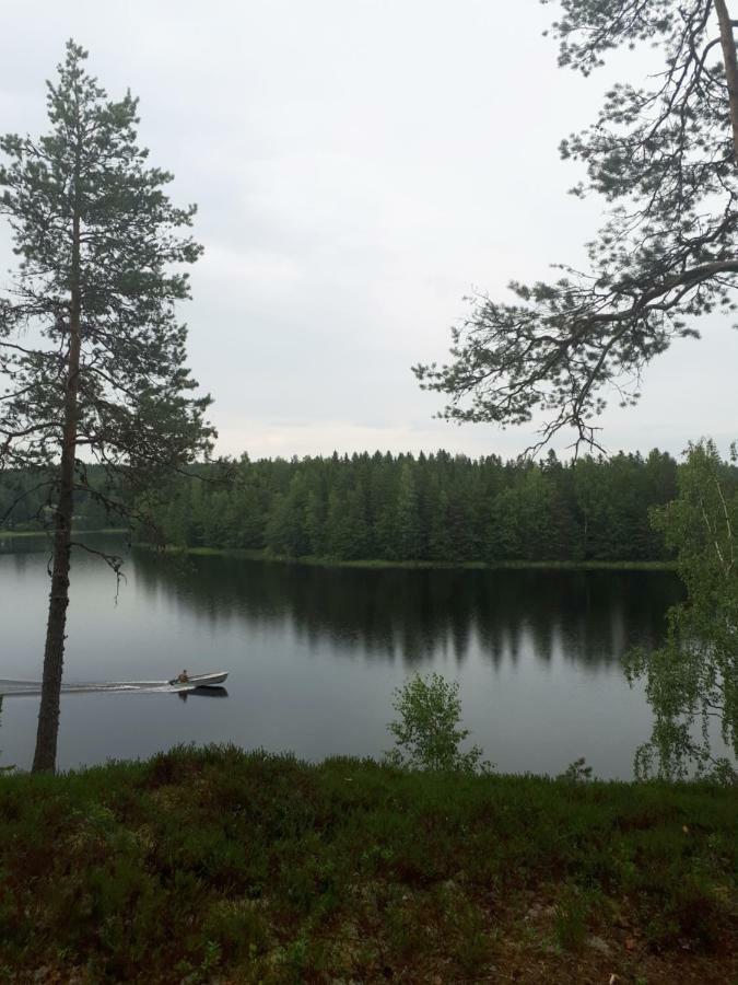 Коттедж В Финляндии, Enonkoski Esterno foto