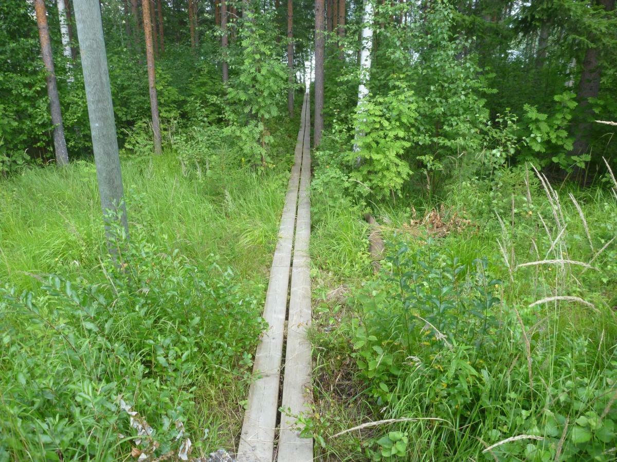 Коттедж В Финляндии, Enonkoski Esterno foto