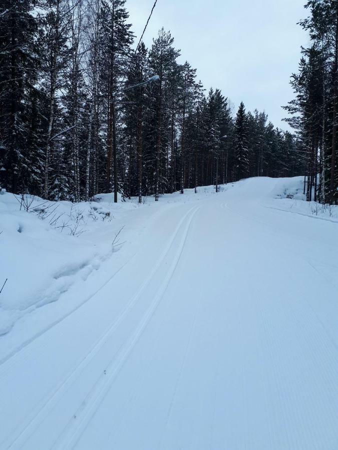 Коттедж В Финляндии, Enonkoski Esterno foto
