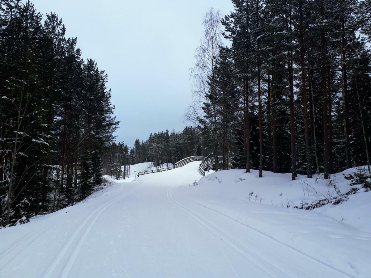 Коттедж В Финляндии, Enonkoski Esterno foto